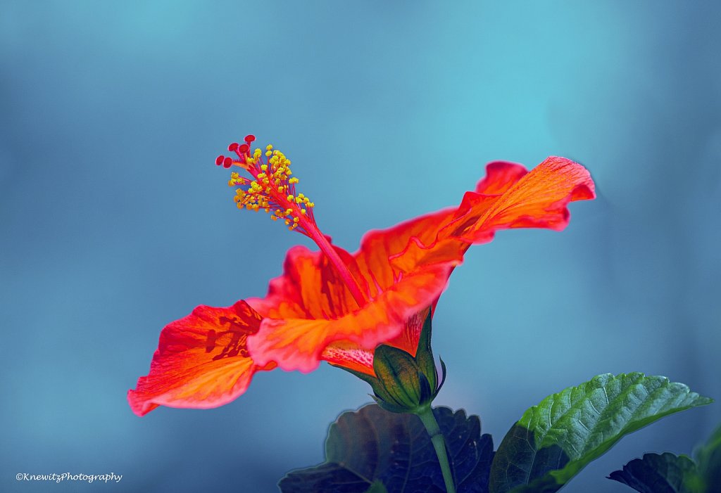 E76EAA74-EE6C-4A78-A4BB-D9687622913B.jpeg