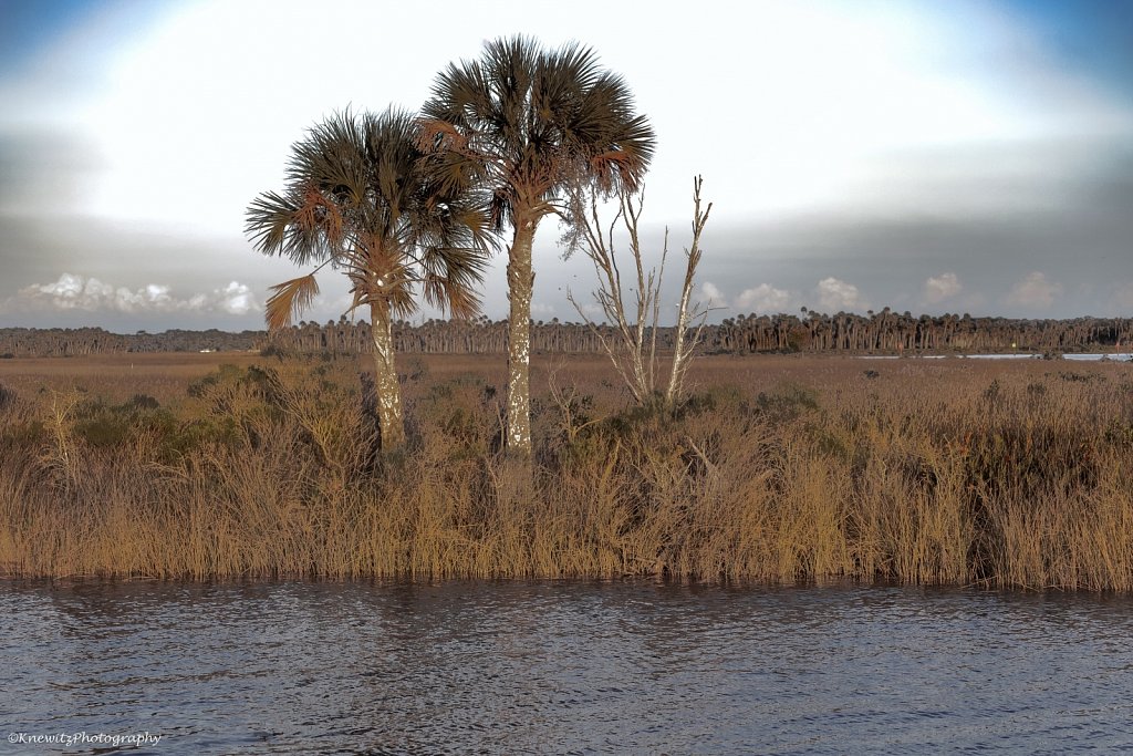 9643E313-121D-45C8-9951-FD50901B6CAD.jpeg