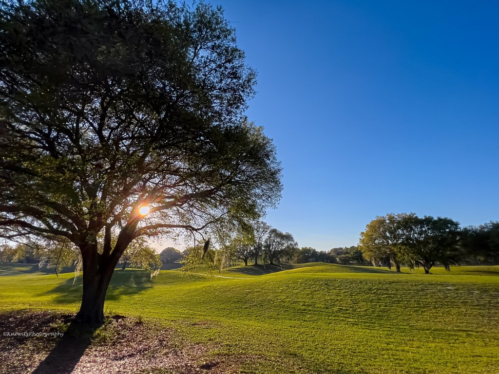 Florida Afternoon