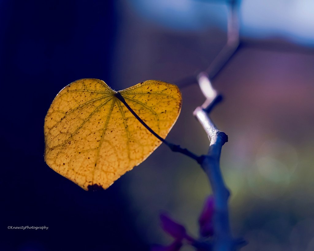 07B8F51E-B3FC-48A0-8C1F-55644AC6D32E.jpeg