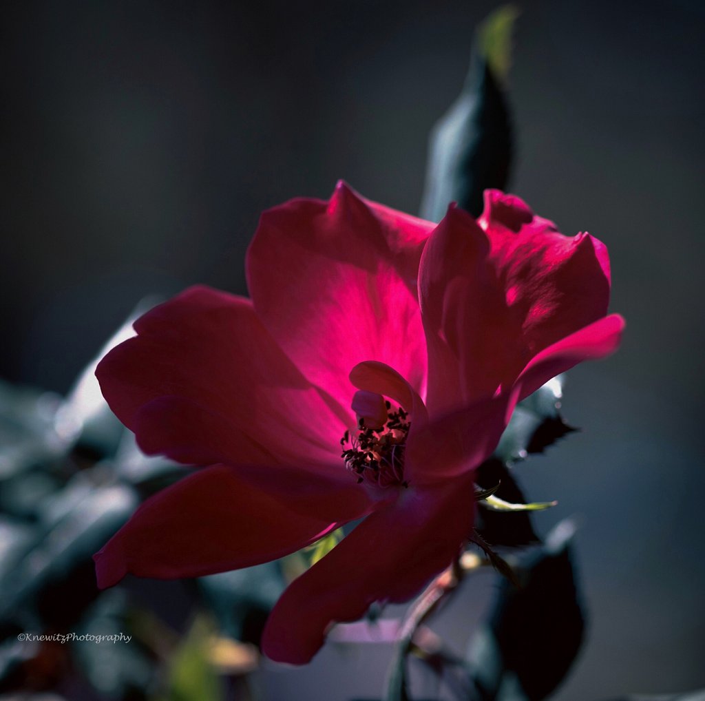 86D2846E-27CF-4E8E-8B65-DB36BE344E59.jpeg