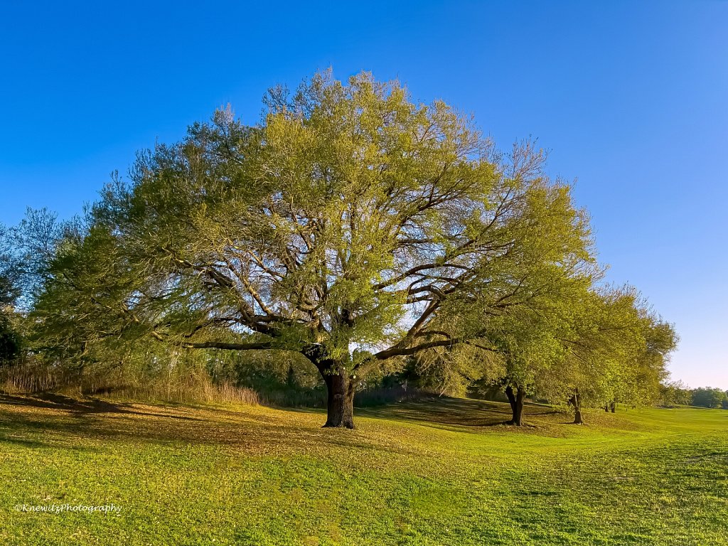 052B8005-99E5-4D04-A19B-3E612D5A96B1.jpeg